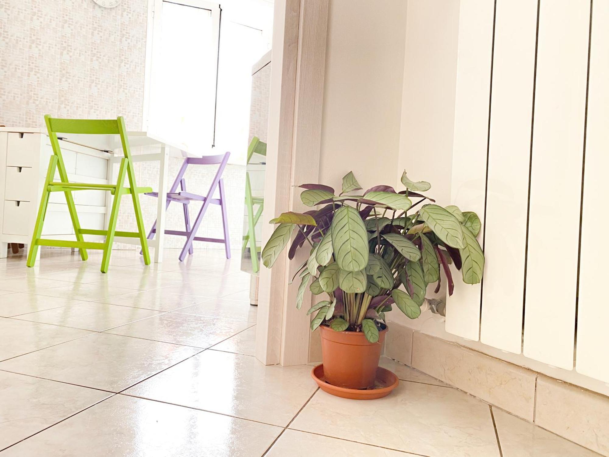 Ophele House Apartment *